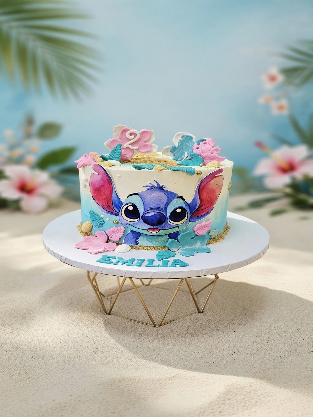 Torta Stitch